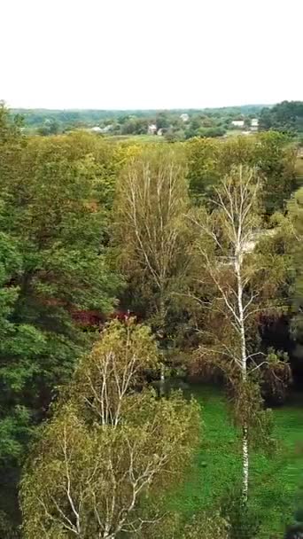Drone Parktaki Sonbahar Ağaçlarının Hava Görüntüsünü Çekti Gündüzleri Doğal Arka — Stok video