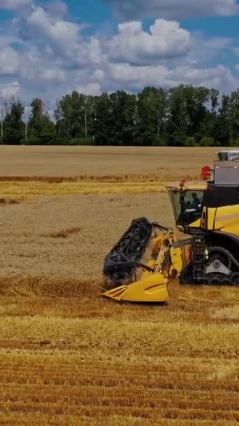 곡물과 노란색 기술은 현장에서 작동합니다 비디오 — 비디오