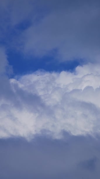 Niesamowity Ogromny Cumulus Pochmurny Krajobraz Błękitnym Niebie Czarne Ptaki Przelatujące — Wideo stockowe