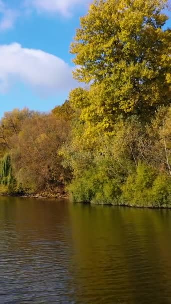 Żółte Zielone Drzewa Rosnące Nabrzeżu Kolorowy Las Błękitne Niebo Odbijają — Wideo stockowe