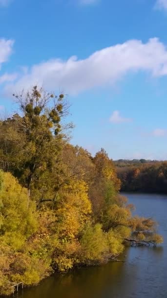 Vacker Solig Höstdag Utanför Staden Skogslandskap Vid Den Smala Flodkanalen — Stockvideo