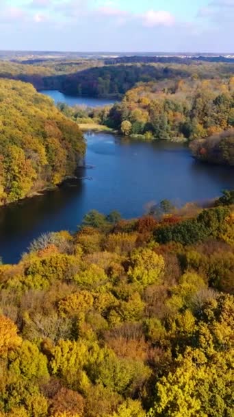 Frunze Care Își Schimbă Culorile Păduri Groase Râu Calm Care — Videoclip de stoc