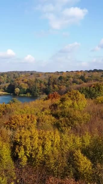 Wierzchołki Drzew Kołyszących Się Wietrze Słoneczny Jesienny Dzień Dron Lecący — Wideo stockowe
