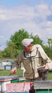 Apiarist çerçeveyi metal aletin yardımıyla kaldırıyor. Adam arıları korkutmak için sigara içiyor. Doğa arkaplanı. Dikey video