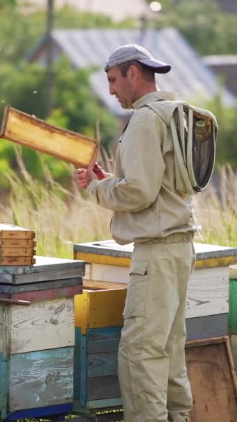 Male Apiarist Extracts Half Frames Hive Working Barehanded Apiarist Stacks — Stock Video