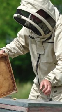 Koruyucu üniformalı arı yetiştiricisi arı kovanının kapağını açar. Adam arıları sakinleştirmek için sigara içiyor. Bulanık doğa arkaplanı. Dikey video