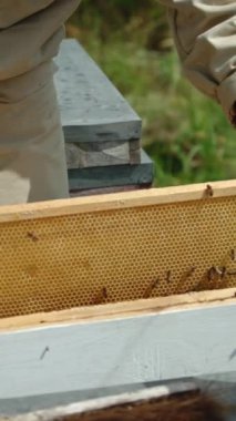 Arıcı, arı kovanından balmumu çerçevesini çıkarır ve arılardan temizlemek için fırça kullanır. Arı kovanına yapılan bal taraması. Dikey video