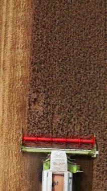 Modern birleşim tarlaya gider ve olgun ürünleri keser. Güneşli bir günde ekmek toplama mevsimi. Kuş bakışı görüş. Dikey video