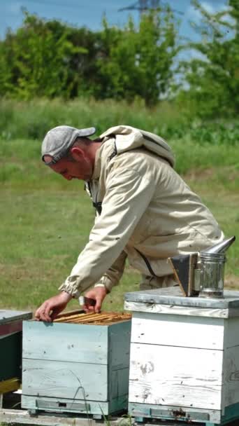 Bienenzüchter Holt Rahmen Aus Dem Bienenstock Imker Inspiziert Seine Bienenfarm — Stockvideo