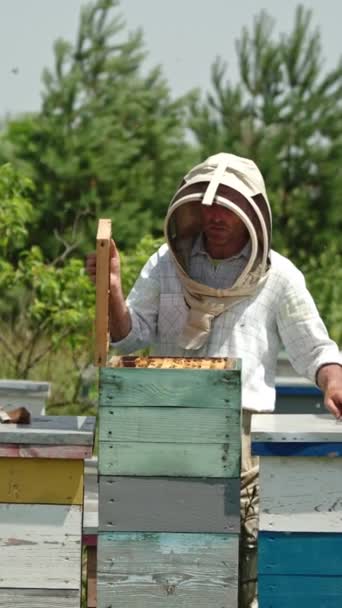 男性の養蜂家は 彼の農場で一匹の蜂蜜の蓋を開けました 特別な服装の男は 彼の養蜂家をチェックする 自然の背景にあるビー農場 バーティカルビデオ — ストック動画
