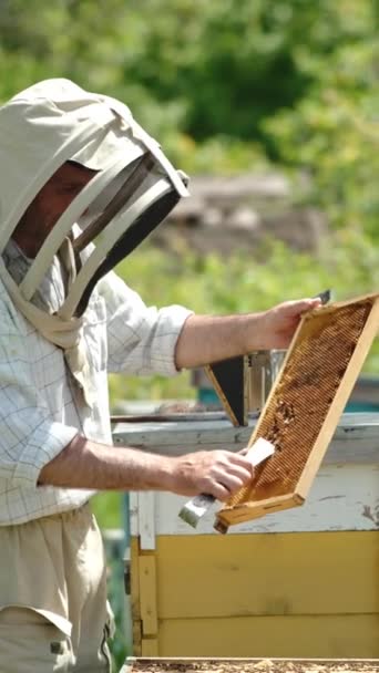 Mannelijke Bijenhouder Gebruikt Metalen Gereedschap Frames Van Honingraat Schoon Maken — Stockvideo