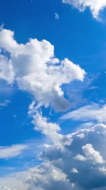 炎炎夏日的阳光照耀着明亮的白云 积雨云和旋涡云在天空中移动 时间在流逝 垂直录像 — 图库视频影像