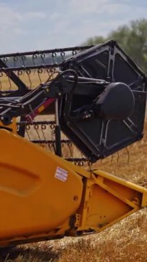 Yazın sarı tarlada tarım işleri. Kırsalda çalışan modern makine ekipmanları. Hasat makinası olgunlaşmış tahılları topluyor. Dikey video
