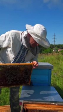 Yazın Apiculture. Arı yetiştiricisi arılara göz kulak olur. Kırsal bölgedeki yeşil çimlerde çerçeveli arı kovanları. Arıcılık işlemi. Dikey video