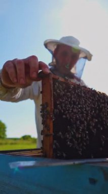 Arıcı arıları kontrol eder. Arı kovanında güneş ışığında arılara bakan koruyucu şapkalı bir Apiarist. Yazın arıcılık. Dikey video