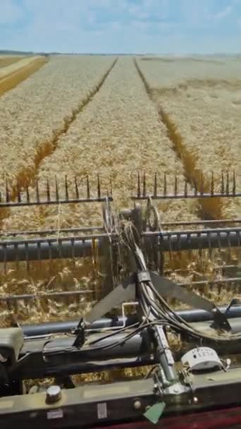 Kovový Detail Kombajnu Při Práci Zemědělský Stroj Stříhá Pšeničné Uši — Stock video