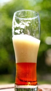 Açık havada köpüklü yarım bardak soğuk bira. Yakın plan koyu bira ve yaz aylarında bulanık yeşil arka planda kabarcıklar. Dikey video