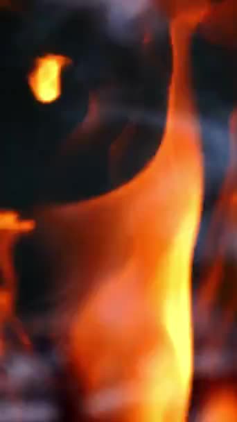 Bonfire Burning Night Burning Logs Orange Flames Fire Flame Vertical — ストック動画