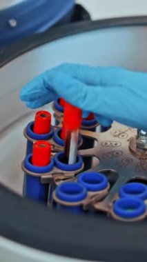 Mavi eldivenli bir kadının eli laboratuardaki bir santrifüje kan örneği koyuyor. Kadın araştırmacı test tüplerini özel makineye yerleştiriyor. Dikey video