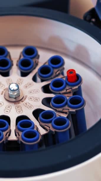 Vrouwelijke Wetenschapper Laadt Wat Flesjes Vloeistof Een Centrifuge Een Laboratorium — Stockvideo