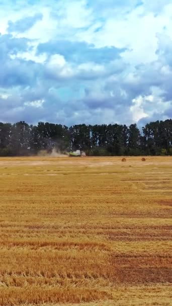乾燥した草を収穫する 農業は田舎の畑で行われている トラクターは夏に干し草を植えています 農地に多くのベールが横たわっている カメラが戻ってくる バーティカルビデオ — ストック動画