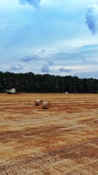 Gyllene Fält Säsongsarbete Blå Himmel Naturlandskap Åker Och Jordbruksmaskin Som — Stockvideo