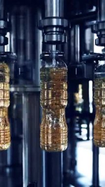 Fabrikada otomatik petrol üretimi. Modern imalatta boş şişeler altın sıvıyla doluyor. Rafine petrol üretimi. Dikey video