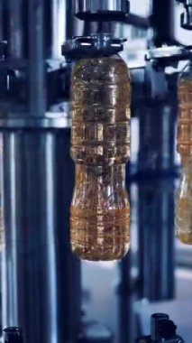 Yağ dolu plastik şişeler daire şeklinde hareket ediyor. Ayçiçeği yağını şişelere dolduran endüstriyel ekipmanlar. Petrol fabrikası üretimi. Dikey video