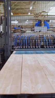 Modern ahşap endüstrisi. Ahşap kaplama üreten bir fabrikada çalışan robot makine. Parke panellerle üretim hattı. Dikey video