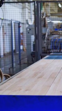 Parke yapmak için endüstriyel fabrika. İçini közle. Kapalı alanda ahşap mobilya üretimi. Dikey video