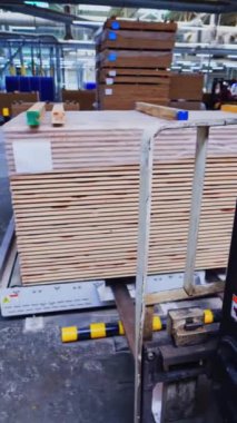 Kaplama üretim fabrikası. Forklift kamyonu ahşap paletler alıyor. Bir parke üretiminde kullanılan deponun içi. Dikey video