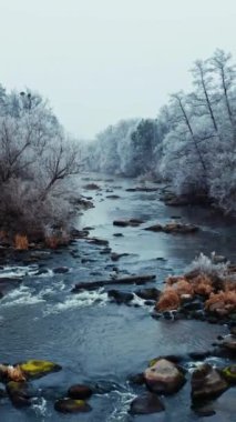 Kışın dar nehrin üzerinde uçmak. Nehir kenarında karla kaplı ağaçlar. Güzel karlı arka planda suda bir sürü büyük taş var. Dikey video