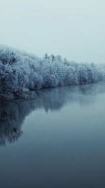 Doğanın güzel kış manzarası. İnsansız hava aracı kış mevsiminde sakin nehir manzarası. Suya yakın ormanın beyaz karlı ağaçları. Dikey video