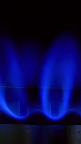 Gasblauwe Vlam Gasfornuis Zwarte Achtergrond Aardgas Verbranden Zet Kachel Brand — Stockvideo