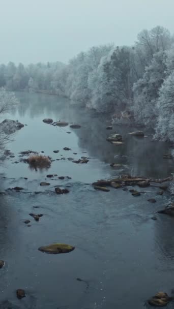 Latanie Dronem Nad Rzeką Zimą Piękny Krajobraz Przyrodniczy Długiej Rzeki — Wideo stockowe