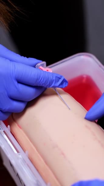 Chirurgiestudent Trainiert Nadel Für Katheter Auf Medizinische Attrappe Einzuführen Hände — Stockvideo