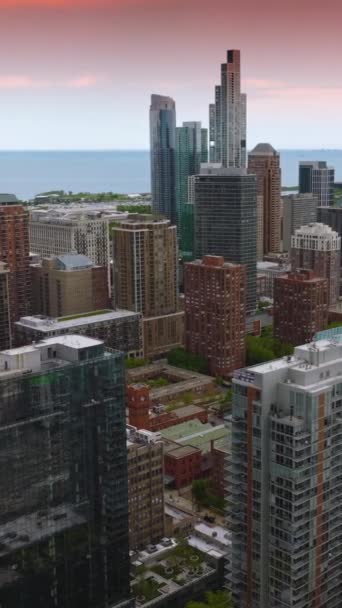 美しい都市建築の間の自然の緑地 シカゴの空からの景色 ピンクの空を背景に バーティカルビデオ — ストック動画