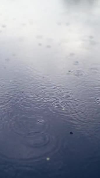 雨滴落在池塘 湖泊或河流的水面上 形成了一个统一的背景 垂直录像 — 图库视频影像
