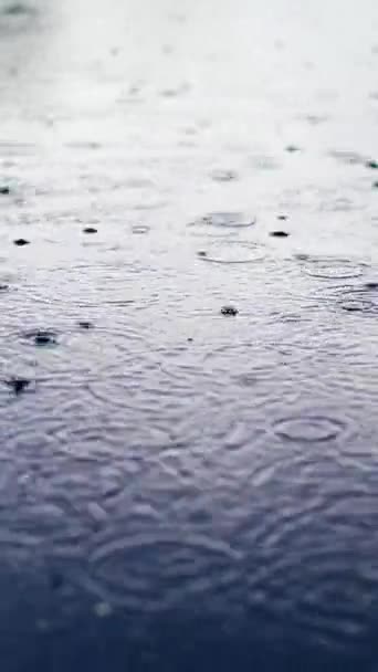 Regen Druppels Vallen Het Wateroppervlak Van Vijver Meer Rivier Vormen — Stockvideo