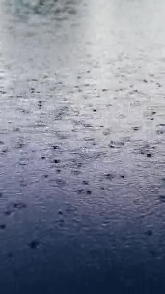 Regendruppels Vallen Het Wateroppervlak Van Vijver Meer Rivier Verticale Video — Stockvideo