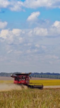 Kırsal kesimde tarımsal makineler tarlada çalışıyor. Güneşli yaz gününde tarım arazilerinde hasat. Ekin ekme konsepti. Dikey video
