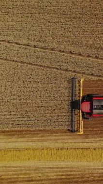 Büyük ekin biçme makinesinin tarlada buğday bıçakları keserken en üst görüntüsü. Tarım makineleri altın tarlada olgun tahıllar topluyor. İHA görüntüsü. Dikey video