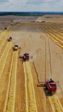 Sahada çalışan modern tarım makinelerinin havadan görünüşü. Birçok hasatçı, kırsal alandaki tarlanın sarı arka planında olgun tahıllar toplayarak birleştirir. Dikey video