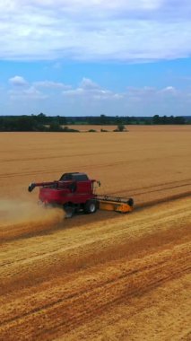 Tarladan olgun mahsulleri toplama süreci. Kırmızı biçerdöveri buğday tarlasında işliyor. Dron 'un videosu. Dikey video