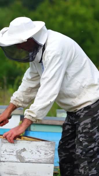 Hardworking Beekeeper Checks Beehives Apiary Man Protective White Uniform Garden — стоковое видео
