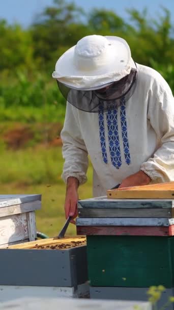 养蜂人在养蜂场采集蜂蜜 穿着白色防护服的男人 夏日花园背景 新鲜空气中的四月 垂直录像 — 图库视频影像