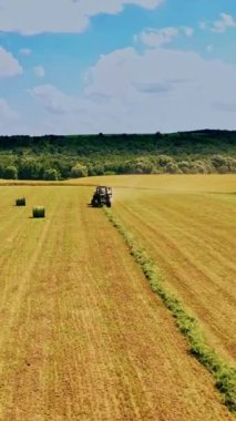 İş yerinde traktör ve sahada doğal arka planda balyalar. Tarım traktörü, güneşli yaz gününde çimenleri yuvarlak demetlere bastırıyor. Hava görüntüsü. Dikey video