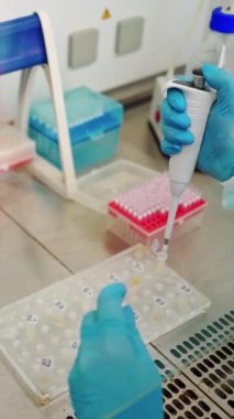 Laboratuvardaki masada tıbbi ekipman var. Deney tüpleriyle çalışan kadın eller. Modern laboratuardaki iş yerinde araştırmacı. Dikey video