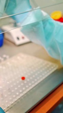 Laboratuvar asistanı klinikte tüplerle çalışıyor. Tıp çalışanı küçük plastik kavanozdan test tüplerine sıvı atıyor. Dikey video