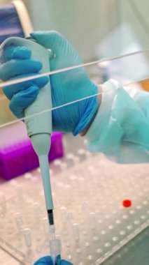 Tıbbi asistan test tüpleriyle çalışıyor. Koruyucu üniformalı bir araştırmacı özel bir aletle şişelere sıvı damlatıyor. Yakın plan. Dikey video